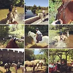Domaine Des Z'ailes Saint-Florent-des-Bois
