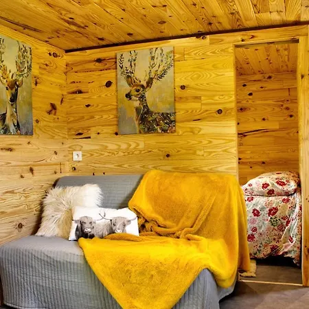 Domaine Des Z'ailes Penzion Saint-Florent-des-Bois