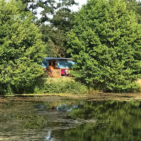 Penzion Domaine Des Z'ailes Saint-Florent-des-Bois