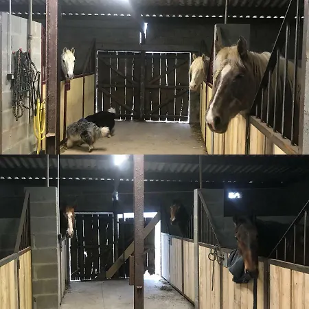 Pensionat Domaine Des Z'ailes Saint-Florent-des-Bois