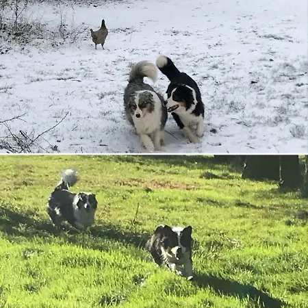 Domaine Des Z'ailes 3* Saint-Florent-des-Bois