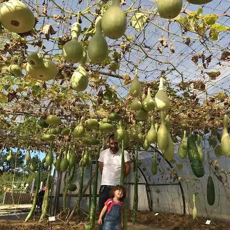 Domaine Des Z'ailes 3*