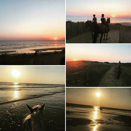 Domaine Des Z'ailes 3* Saint-Florent-des-Bois