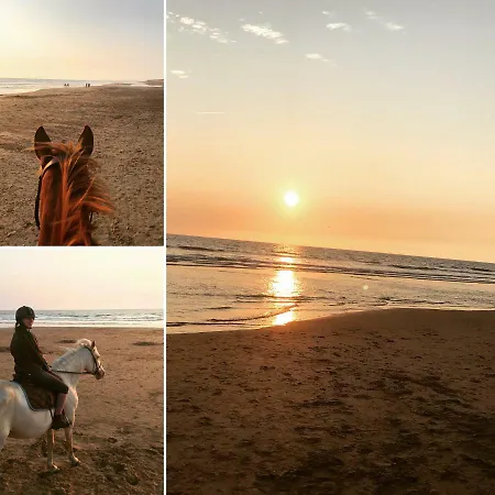 Pensionat Domaine Des Z'ailes 3*