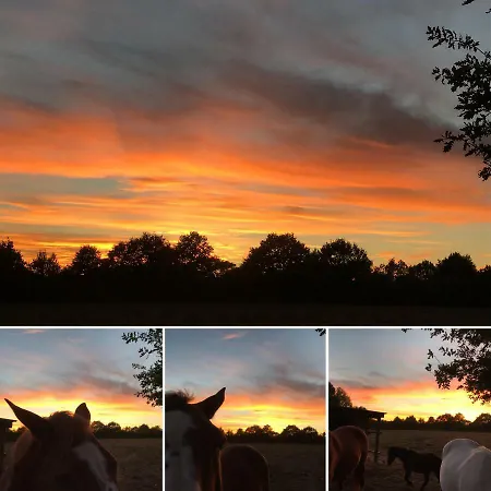 Domaine Des Z'ailes Saint-Florent-des-Bois