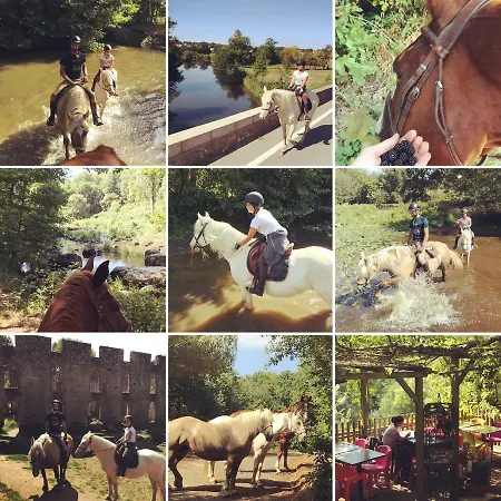 Domaine Des Z'ailes Saint-Florent-des-Bois