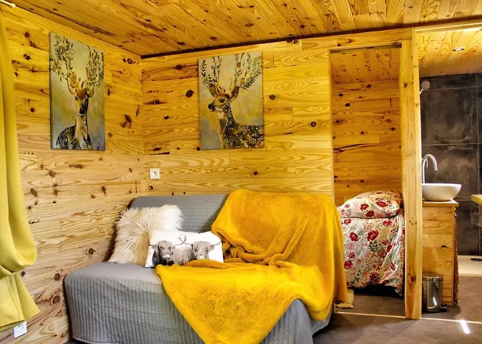 Domaine Des Z'ailes Penzion Saint-Florent-des-Bois