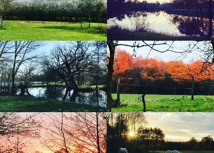 Domaine Des Z'ailes 3*